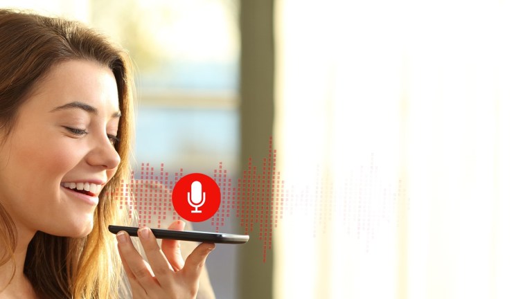Voice Recognition & Search