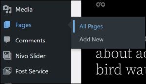 Adding Pages to your WordPress site