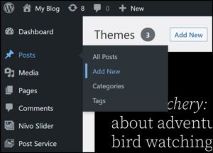 Adding Posts to your WordPress site