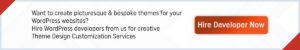 Hire WordPress Developer Now