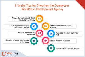 Useful Tips for Choosing the Competent WordPress Development Agency